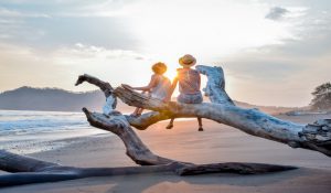 two kids sitting on a tree trunk watching the sunset on the beach